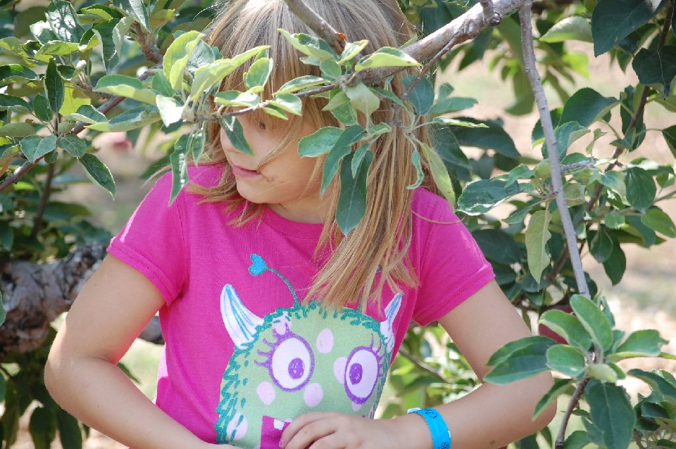 SUMMER (1113)